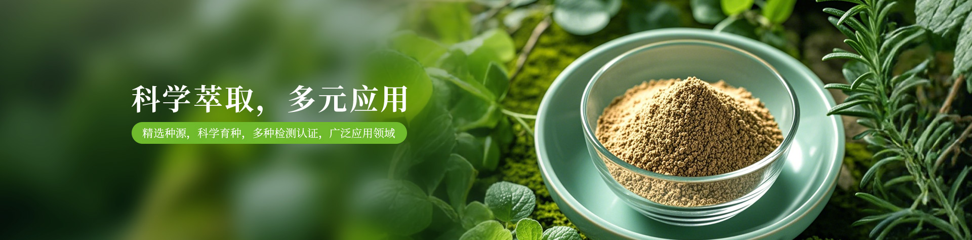 Herbal Extract