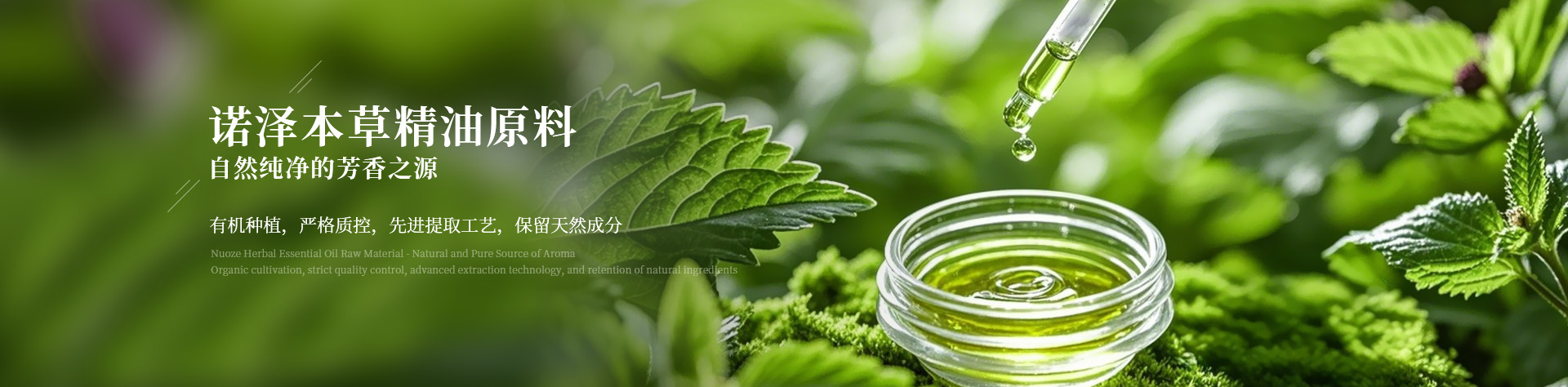 Herbal Essential Oil
